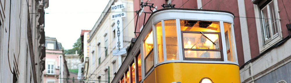 Dental Reconstruction